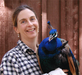 cu with peacock