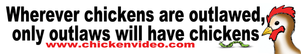 bumpersticker