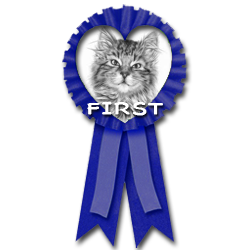 kittenclub